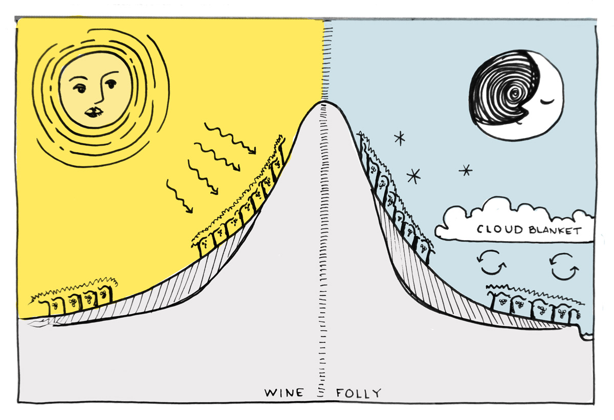 wine-climate-elevation-chart-folly