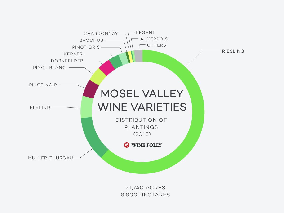 Grape-Distribution-Mosel-Valley-Wine-Folly